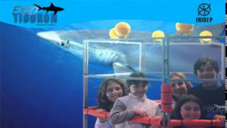 DIA 2 Expo Tiburon127