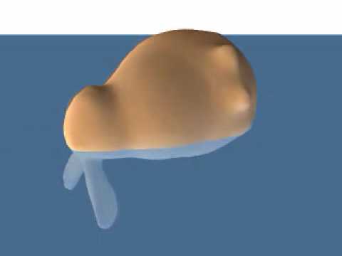 Animation of an inflated, buoyant elastic model