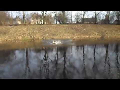 Cuna  ezerins ir slidens