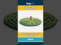 labyrinth - a maze with many confusing... video thumbnail