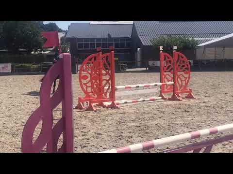 Manuel Albano - Hydra 4yo ( Adagio de talma x Crawford)