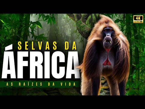 AFRICAN JUNGLES | The Most Incredible Animals of Africa