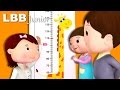 Measuring Your Height Song How Tall Are You Original Songs By LBB Junior