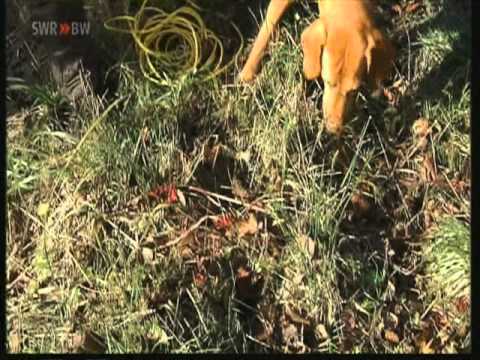 Direkt vom Jäger auf dem Esslinger Weihnachtsmarkt 2010