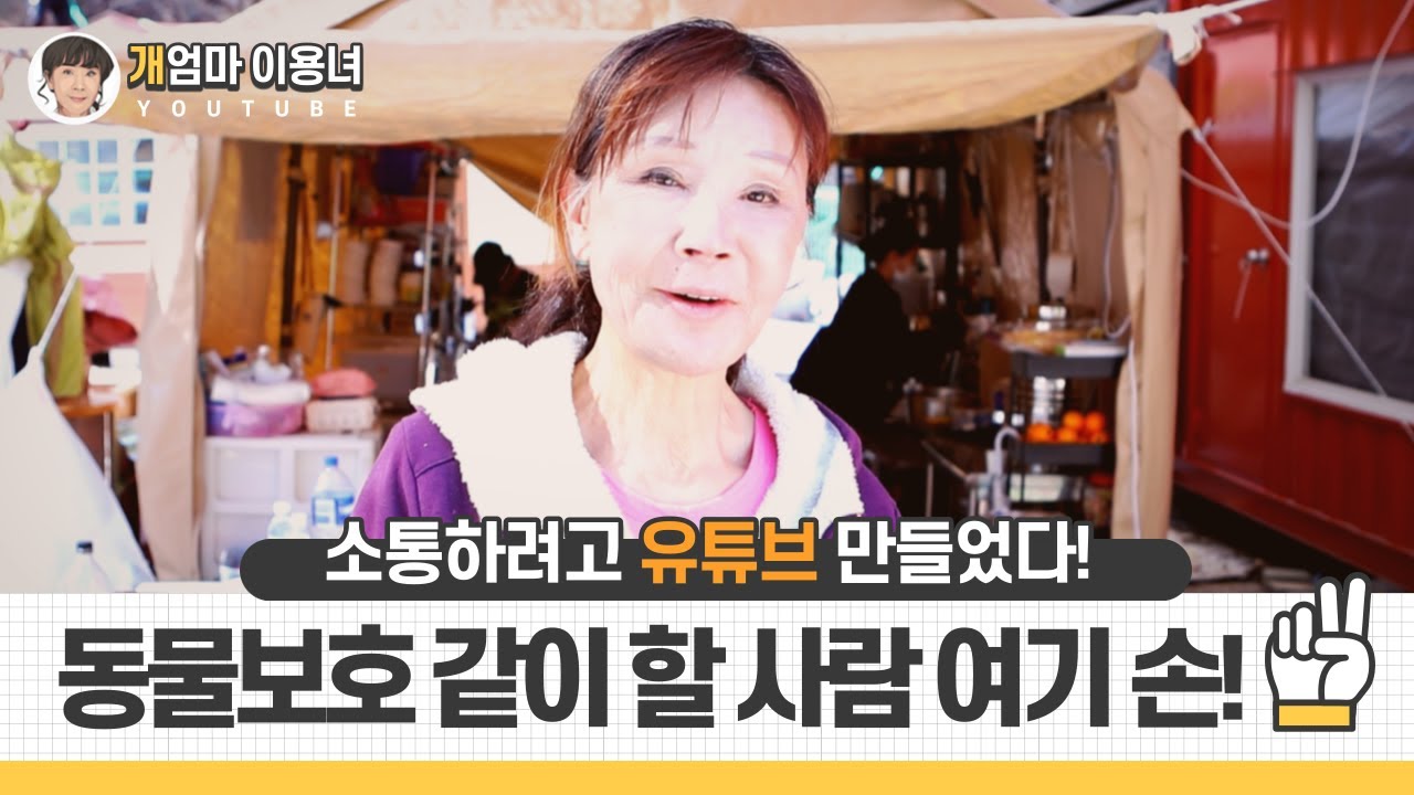 유기견 대모 이용녀 "유튜브로 동물 보호 함께해요!"