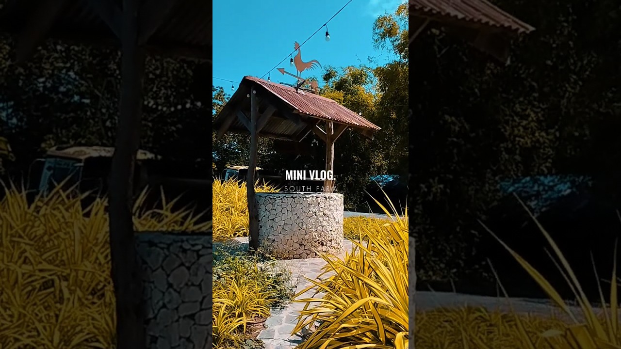 YouTube Short thumbnail