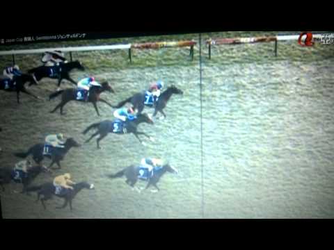 Japan Cup 2013 - Gentildonna (Narração e Português)