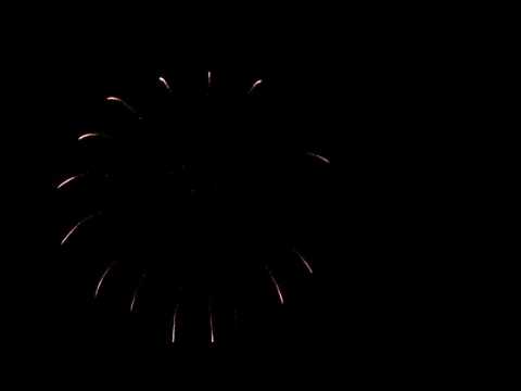 PS5089 KULOVÁ PUMA 125 MM  Multi angle flower w brocade ring to lemon gl pistils vl2016