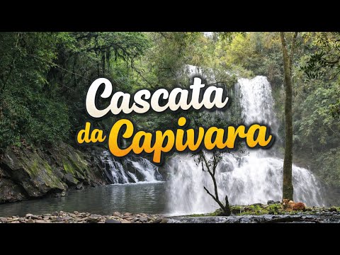 A mágica da Cascata da Capivara! Natureza pura em Itapuca/RS