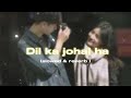 Dil Ka Johal Ha Song Lyrical Lofi Song Slowed Reverb