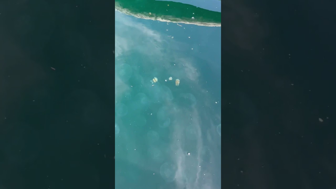 YouTube Short thumbnail