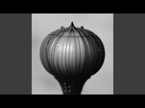 Peace Found (Remastered 2025)