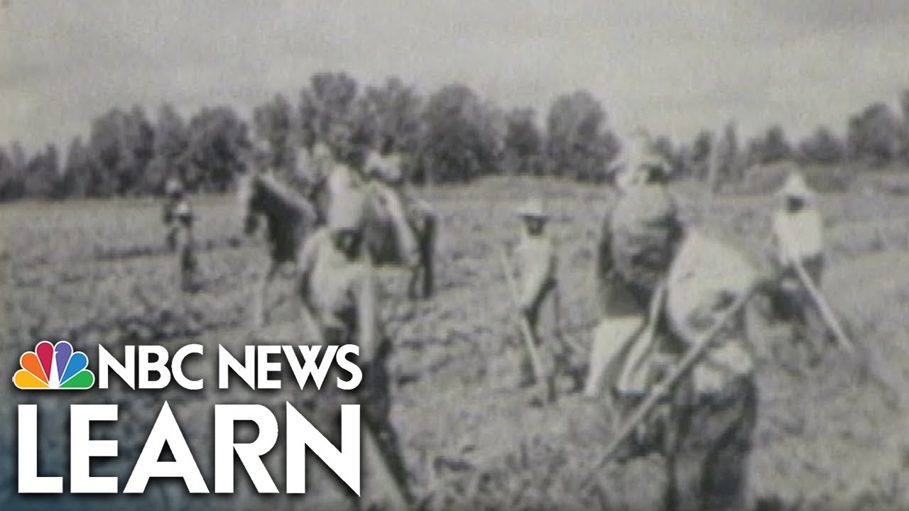 Sharecropping in the Post-Civil War South