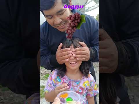 kumpulan shorts eskrim ice cream part 88 tebak tebakan permen yupi rasa buah