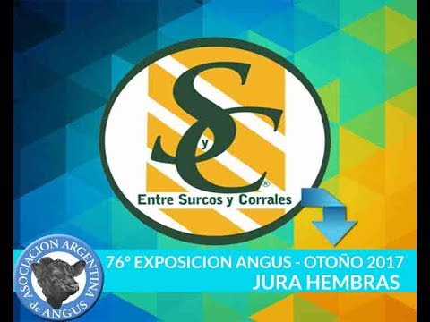 17-05-17 - JURA HEMBRAS - EXPO BOLIVAR OTOÑO 2017 - 004