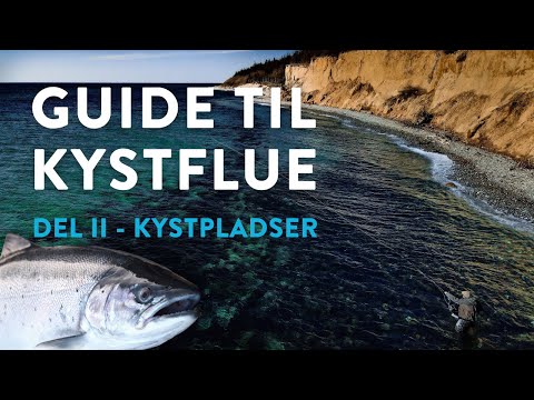 Guide til kystfiskeri efter havørred på flue: Del 2 –