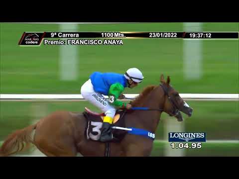 220123 c09 F Anaya/ STRANGE AVE