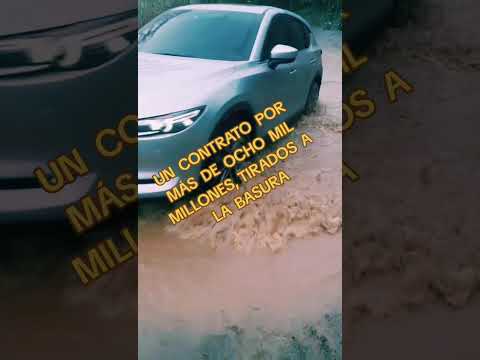 4 de noviembre de 2025