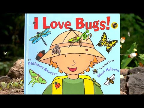 I Love Bugs - Read Aloud