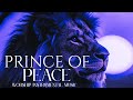 Worship Instrumental Music | Meditation | Prayer | Prince Of Peace
