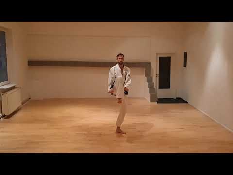 Taekwon-Do / 7.  Hyong Toi-Gye / zählen