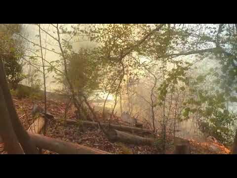 Flächenbrand in Dudweiler