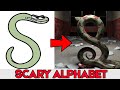 Alphabet Lore Scary Edition | The realistic photo