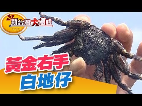 海釣高手在民間 一手釣竿一手蟹！ 岩蟹、蝦猴好料全上勾《新台灣大體驗》第87集 廖慶學