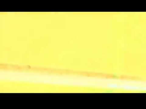 امید علومی _ لاف عاشقی