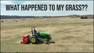 I Need To Fix This Lawn ASAP!! // What Caused The Issues And How To Fix Them With Spring Seeding