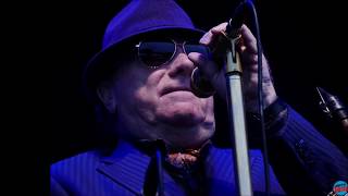 Van Morrison - In The Afternoon