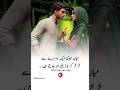 Miyan Biwi Ek Dusre Se Lad Lad Kar Budhe Ho Jate Hain Urdu Qouets Deeplines Urduquotes Shorts