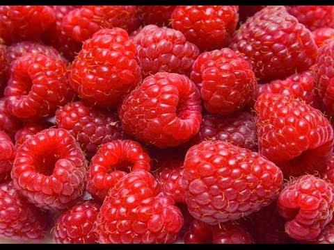 Health Benefits of Raspberries