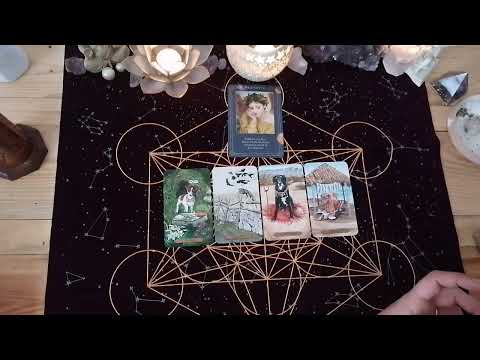 Wochenbotschaft • Das offene Gespräch kann Wunder bewirken! 16.01-21.01.