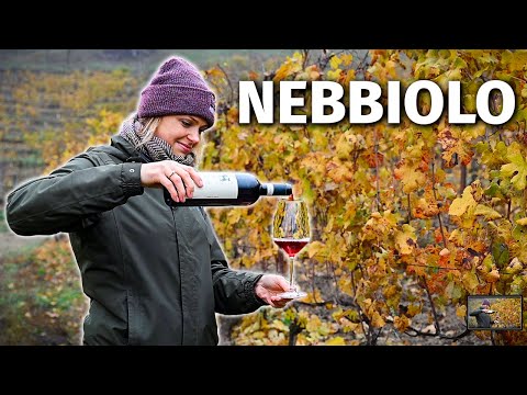 Wine Grapes 101: NEBBIOLO (the Grape Behind Barolo & Barbaresco)