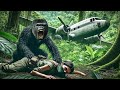 2024 Action Movie Female Jungle Warriors Vs American Special Forces