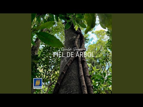 De Tres Bocas a Paysandú