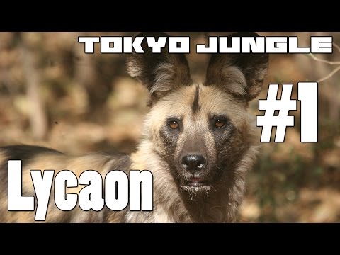 Tokyo Jungle: Lycaon Survive over 100 years  Part 1 of 4