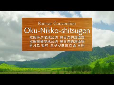 Ramsar Convention “Oku-Nikko-shitsugen”