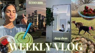 WEEKLY VLOG ♡ (new year reset, how to keep healthy habits in 2024, motivation fuel, deep clean +)