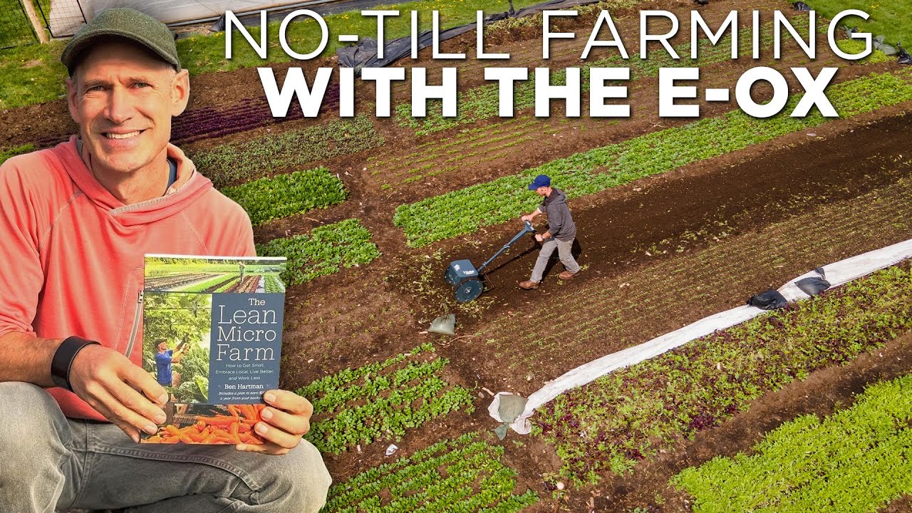 Lean Micro Farming With An E-Ox Electric Wheel Hoe | A Farmer's Story