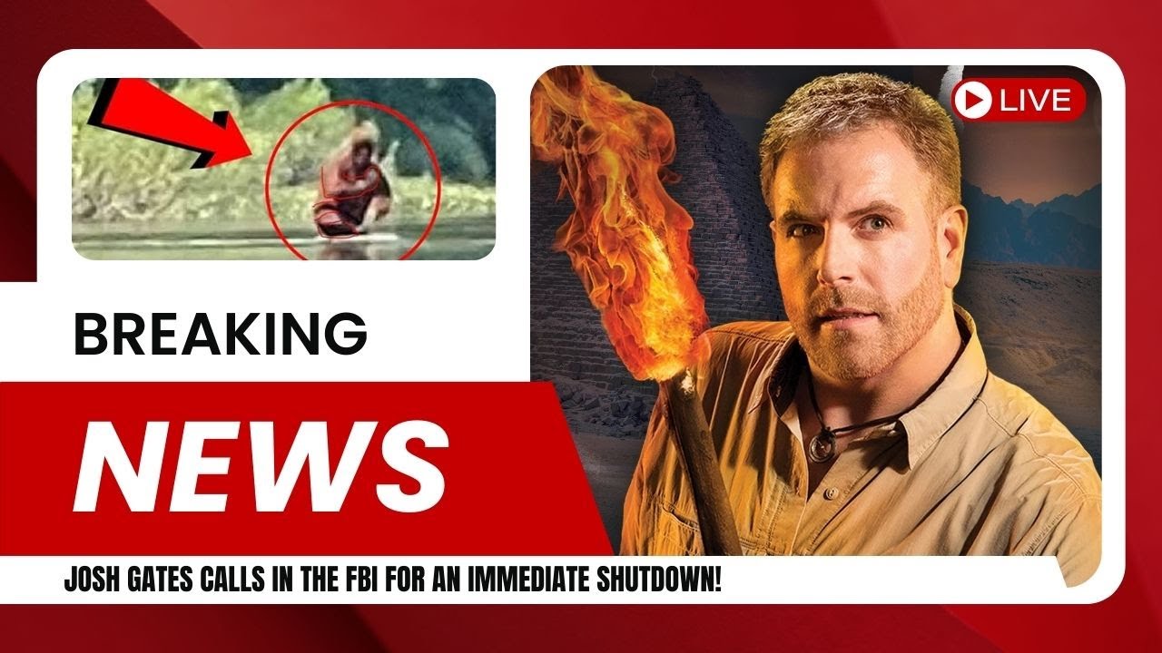 YouTube Thumbnail Downloader FULL HQ IMAGE