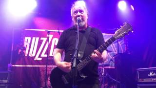 The Buzzcocks - Ever Fallen in Love (With Someone You Shouldn't've) (live Vauréal France 2016)