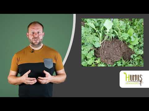 Tipps zur Fruchtfolgeplanung von Manuel Böhm, HUMUS Bewegung