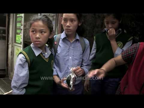 download lagu mp3 mp4 Sailusfood Com, download lagu Sailusfood Com gratis, unduh video klip Sailusfood Com