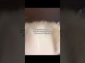 Reels Instagramstories Trending