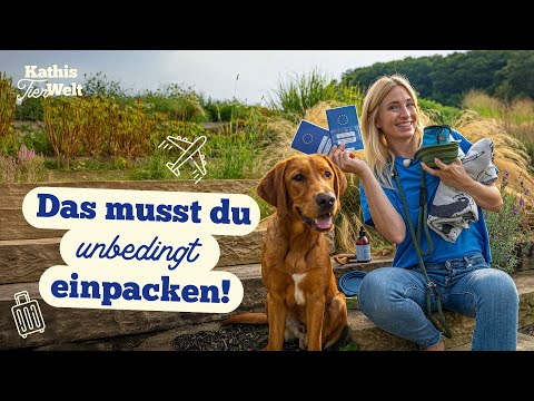Urlaub mit Hund 🌴  - 5 Tipps für einen entspannten Urlaub mit eurem Vierbeiner