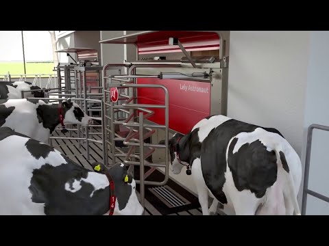 Lely Astronaut A5 - The art of milking – short version - EN