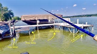 Fishing Piers for the BIGGER Fish! - Shallow Water Fishing Tips