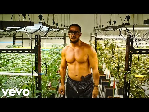 Lacrim - Palmarès | Mix 2025 ft.(Kaaris, SDM, Werenoi, Mister You, Ziak, SCH, Maes, Freeze Corleone)